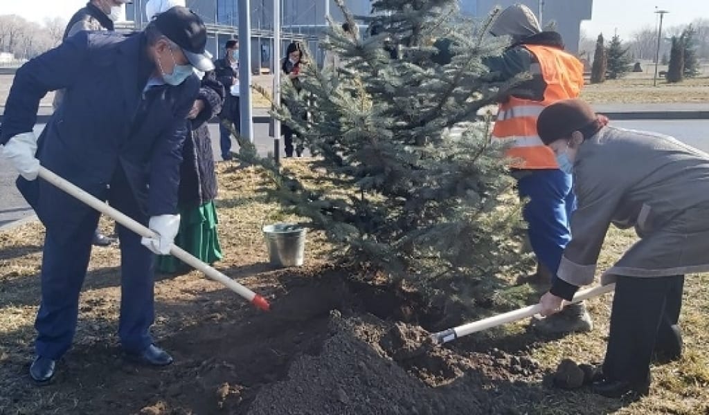 НАУРЫЗ-ДУМАН: ТАЛДЫҚОРҒАНДА ТАЛ ЕГІЛІП, АҒАШ ТҮПТЕРІНЕ АҚ ҚҰЙЫЛДЫ