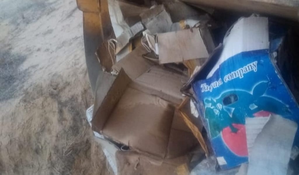 КӨЛШІККЕ ТАСТАЛҒАН МЕДИЦИНАЛЫҚ ҚАЛДЫҚТАР: ӘКІМДІК ТҮСІНІКТЕМЕСІ