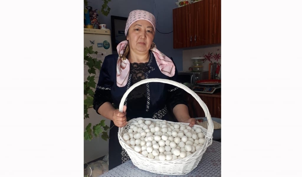 ҚАЗАҚТЫҢ ҚҰРТЫНАН "РАФАЭЛЛО" МЕН "ЧУПА-ЧУПС" ДАЙЫНДАУҒА БОЛАДЫ