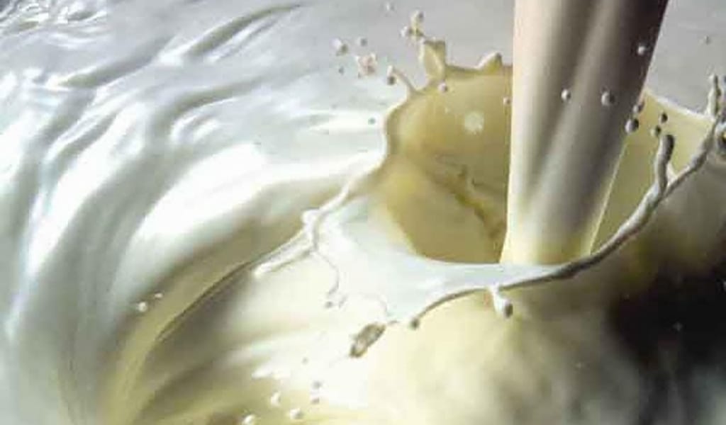 "ӨМІРІМ ТҮБЕГЕЙЛІ ӨЗГЕРДІ": СҮТ САТЫП, ТАБЫСҚА КЕНЕЛГЕН КЕЛІНШЕК