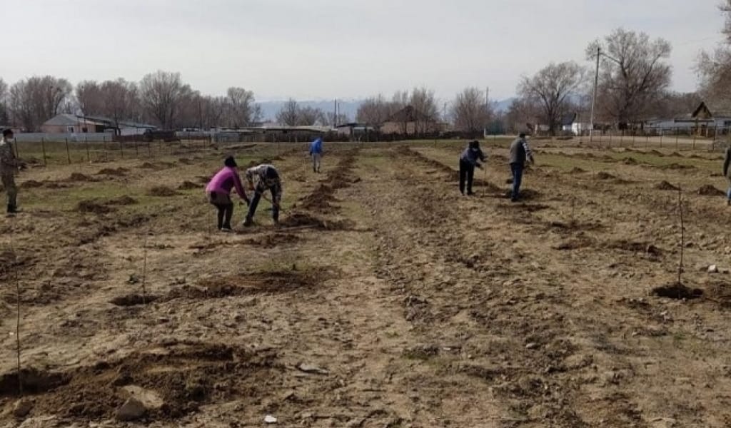 АЛАШ ҚАЙРАТКЕРІНІҢ АУЫЛЫНА 800 ТҮП АЛМА АҒАШЫ ОТЫРҒЫЗЫЛДЫ