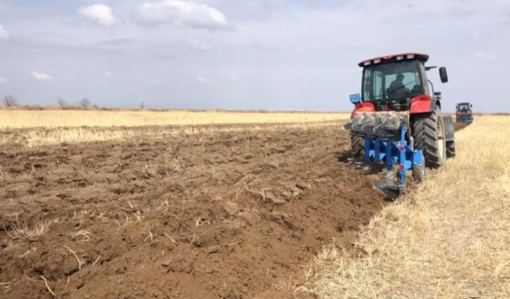 ҰЙҒЫР АУДАНЫНДА "ДАЛА АРУЫН" ӨСІРЕТІН АЛҚАПТЫҢ КӨЛЕМІ ҰЛҒАЙДЫ
