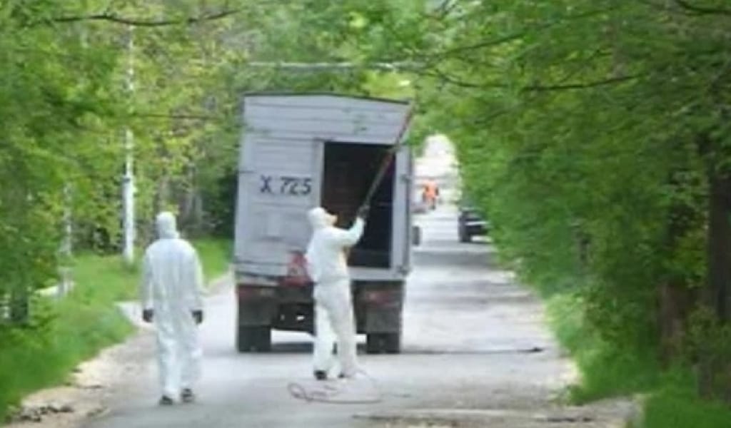 ҚАРАТАЛ БОЙЫНДАҒЫ АҒАШТАРҒА ДӘРІ СЕБІЛЕДІ: МАҢЫЗДЫ ХАБАРЛАМА