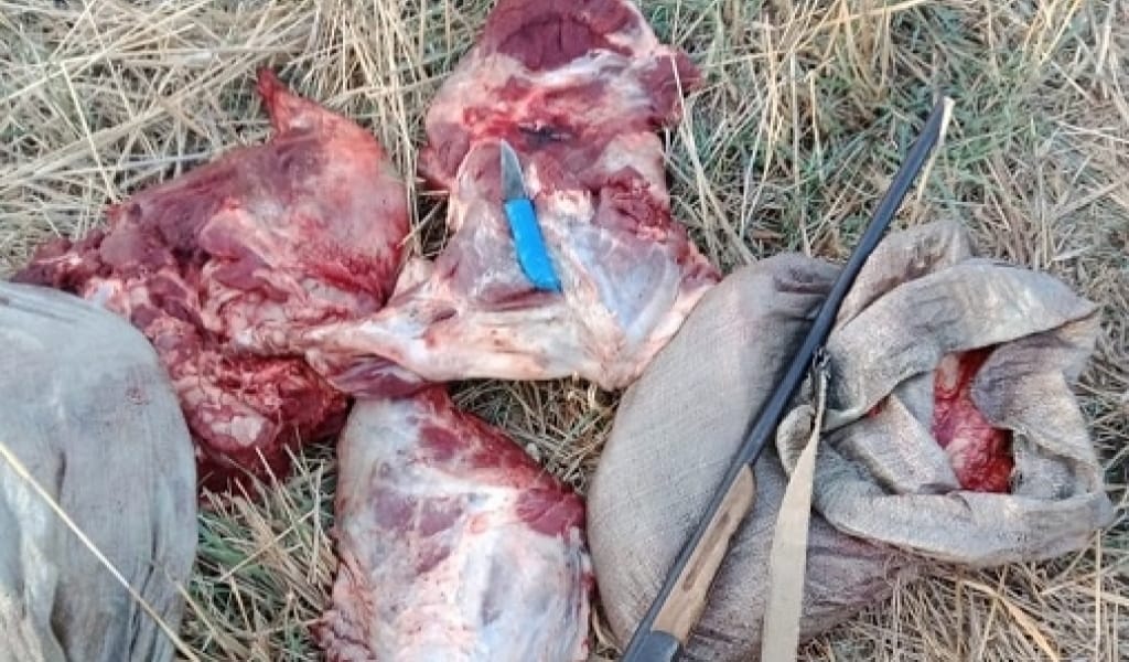 БАЛҚАШТА ЖАБАЙЫ ШОШҚАНЫҢ ЕТІН АРҚАЛАҒАН ТАҒЫ БІР АҢШЫ ҚҰРЫҚТАЛДЫ