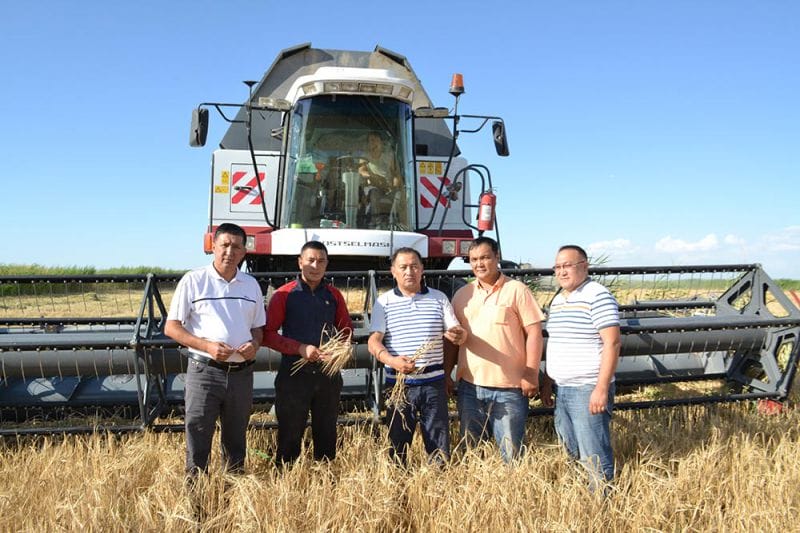 Алқаптарды аралады