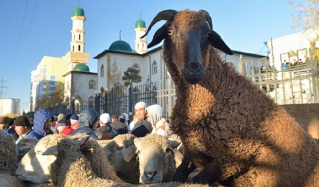 ҚҰРБАН АЙТ МЕЙРАМЫНА БАЙЛАНЫСТЫ БАС САНИТАР ЖАҢА ҚАУЛЫ ШЫҒАРДЫ