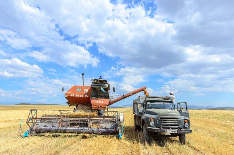 Шаруасы мығым шаруашылық