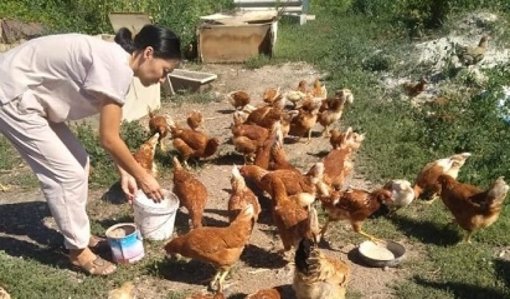 "ҚАЙТАРЫМСЫЗ ҚАРЖЫ БЕРДІ": ТАУЫҚТЫ ТАБЫС КӨЗІНЕ АЙНАЛДЫРҒАН ӘЙЕЛ
