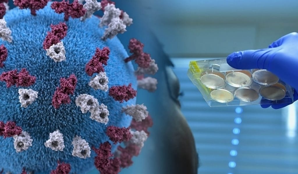 АЛМАТЫ ОБЛЫСЫНДА БІР ТӘУЛІКТЕ 244 АДАМ КОРОНАВИРУС ЖҰҚТЫРДЫ