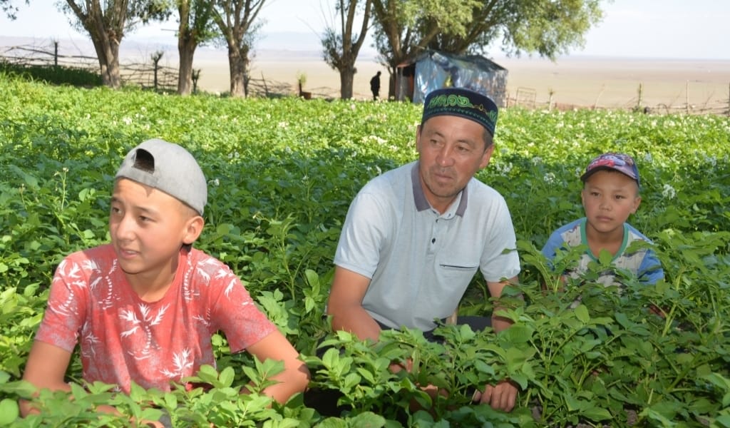 АУЫЛ ИМАМЫ КӨКӨНІС, ЖЕМІС-ЖИДЕК ӨСІРІП, МҰҚТАЖ ЖАНДАРҒА ҮЛЕСТІРМЕК