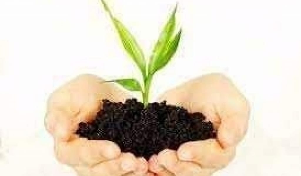 ТАЛДЫҚОРҒАНДА ЕКІ КӘСІПКЕР БІРІГІП, БАҒБАНДАРҒА АРНАЛҒАН ДҮКЕН АШТЫ