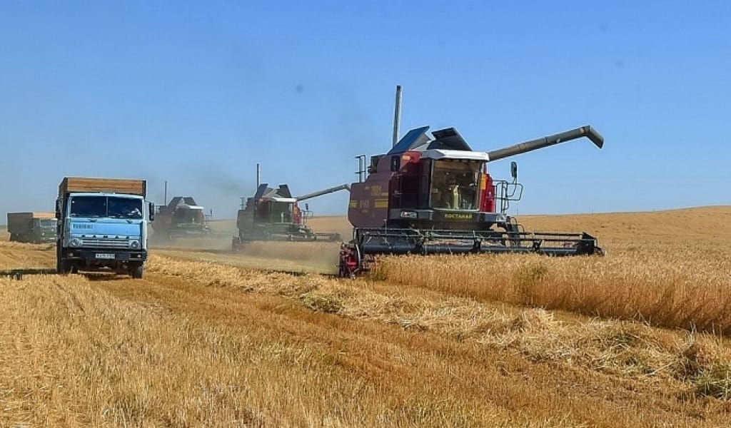 БАЛҚАШ АУДАНЫНДА ЕГІН ОРУ НАУҚАНЫ АЯҚТАЛУҒА ЖАҚЫН: ТҮСІМ ҚАЛАЙ?