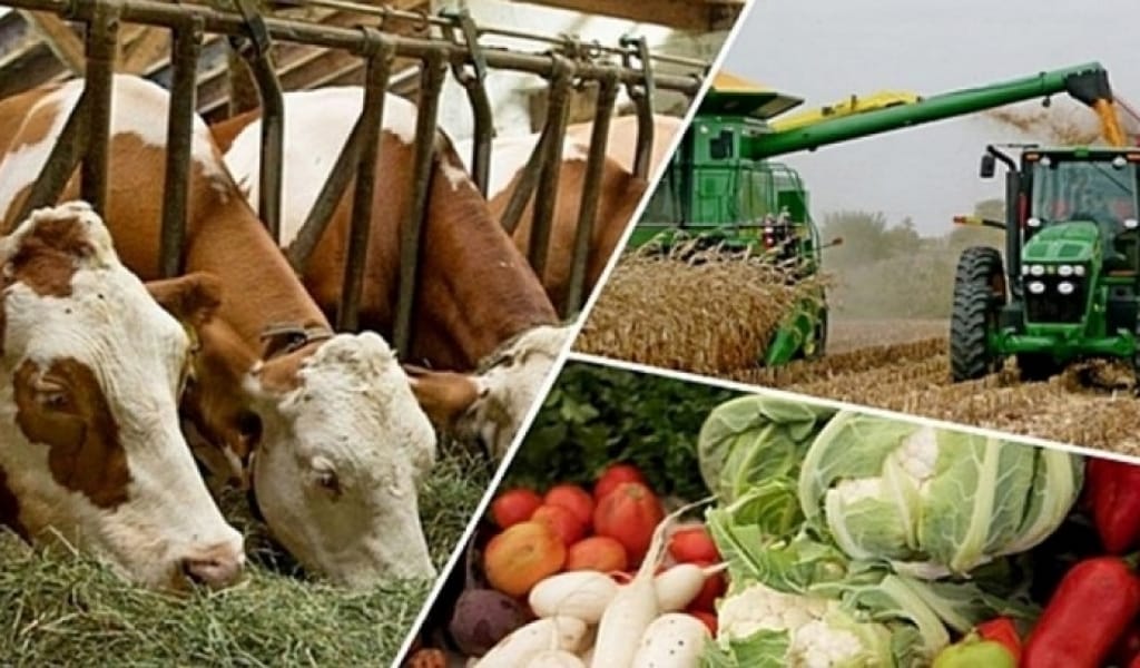 ПРЕЗИДЕНТ ЖОЛДАУЫНДА ЖЕМШӨП, ШАБЫНДЫҚ МӘСЕЛЕСІ СӨЗ БОЛДЫ