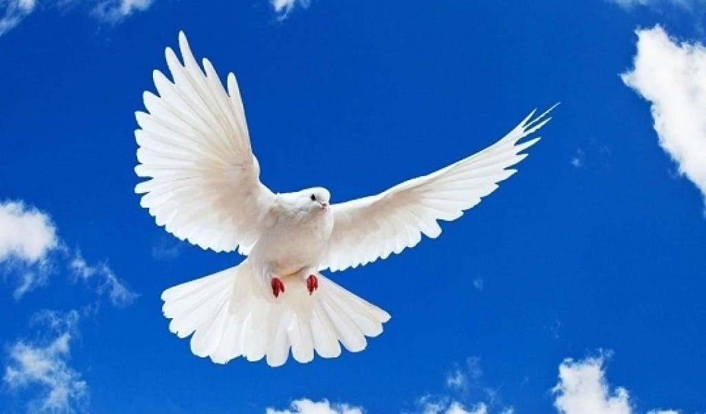 БЕЙБІТ ӨМІРДЕ ҒАНА ҚҰЛШЫЛЫҚ МІНСІЗ ОРЫНДАЛАДЫ, ДІН ӨРКЕНДЕЙДІ