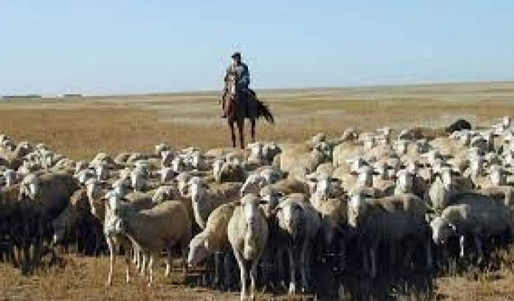 КЕРБҰЛАҚ АУДАНЫНДА МАСКҮНЕМ ШОПАНДАР БІРІГІП, АДАМ ӨЛТІРГЕН