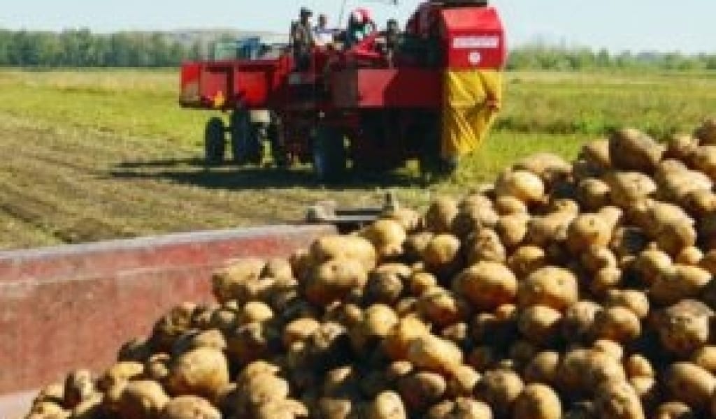 КЕРБҰЛАҚ АУДАНЫНДА ДА ҚУАҢШЫЛЫҚ, БІРАҚ ЖИЫН-ТЕРІН ЖАЛҒАСУДА