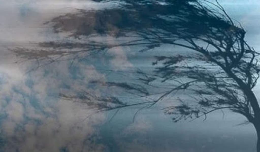 ЖЕЛ, ЖАҢБЫР, КӨКТАЙҒАҚ: АЛМАТЫ ОБЛЫСЫНДА АУА РАЙЫ КҮРТ СУЫТАДЫ