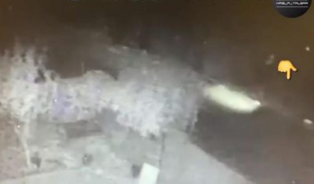 ТАЛҒАРДА КӨЛІК ЖҮРГІЗУШІСІ АДАМ ҚАҒЫП, ОҚИҒА ОРНЫНАН ҚАШЫП КЕТТІ