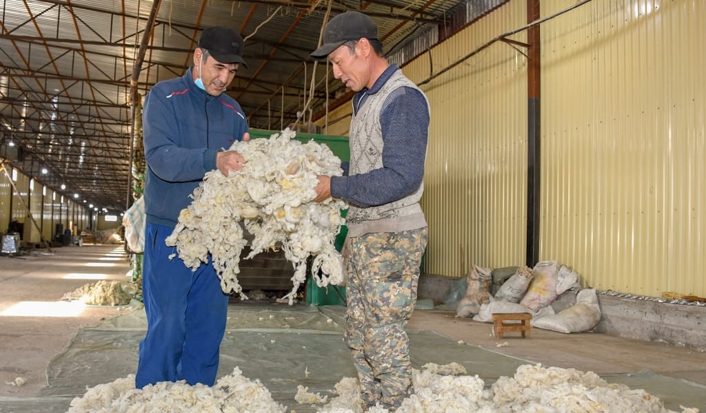 ҚОЙ ЖҮНІН ҚАЖЕТКЕ ЖАРАТАДЫ