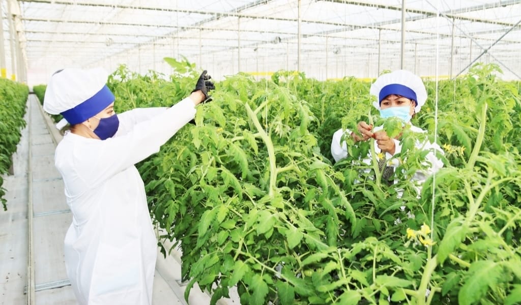 МЕЙРАМХАНА МЕН ДҮКЕН АШҚАН КӨПБАЛАЛЫ ӘЙЕЛ ТАҒЫ БІР ИГІ ІСКЕ КІРІСТІ