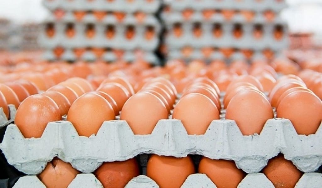 АЛМАТЫ ОБЛЫСЫНЫҢ ҚҰС ФАБРИКАЛАРЫ ЖҰМЫРТҚА БАҒАСЫН ТӨМЕНДЕТТІ