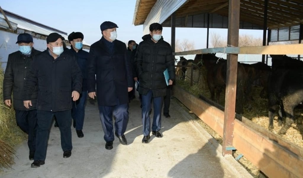ҚАНАТ БОЗЫМБАЕВ ЕСКЕЛДІ АУДАНЫНА БАРЫП, ШАРУА ҚОЖАЛЫҚТАРЫН КӨРДІ