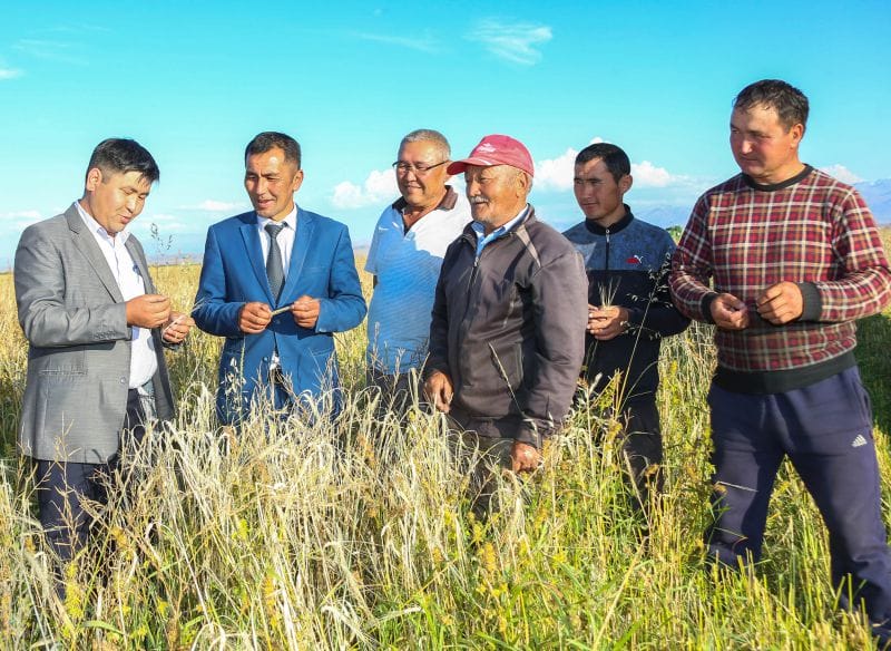 Бірлесіп еңбектенуде