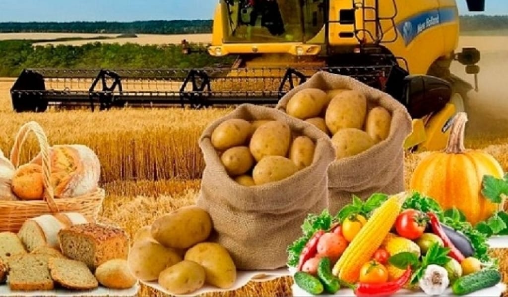 АЛДАҒЫ ҮШ ЖЫЛДА СУАРМАЛЫ ЖЕР КӨЛЕМІ 114 МЫҢ ГЕКТАРҒА ҰЛҒАЯДЫ