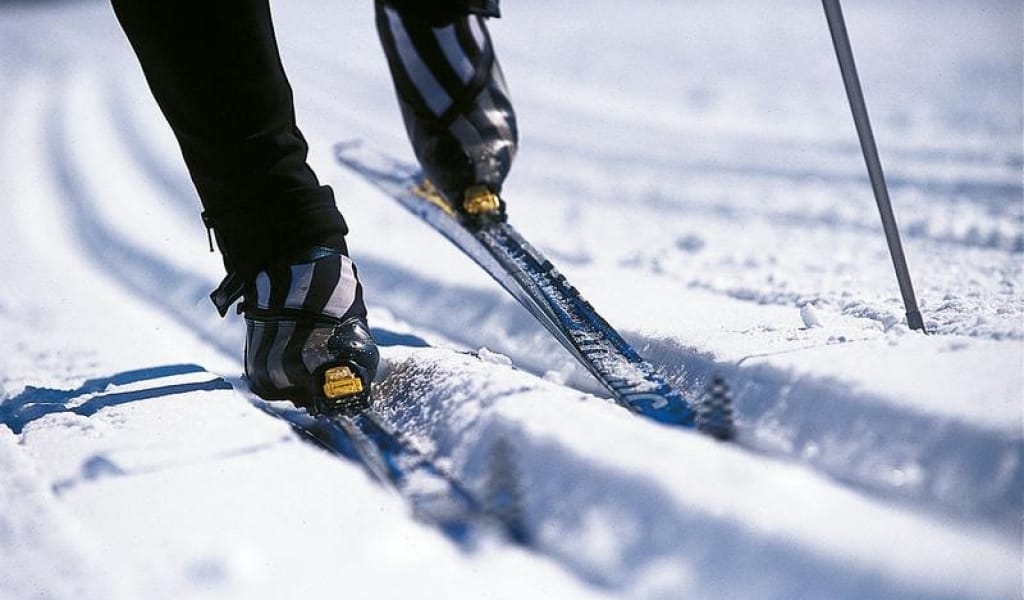 ОБЛЫСТЫҚ ЖАРЫС ӨРНЕКТЕЛДІ