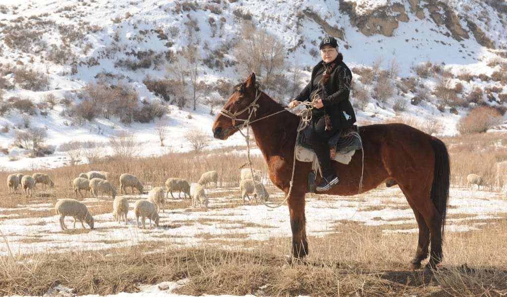 АТҚА ДА МІНЕДІ, ҚОЙ ДА БАҒАДЫ, ТРАКТОР ДА ЖҮРГІЗЕДІ. САРҚАНДАҒЫ ІСКЕР ӘЙЕЛ