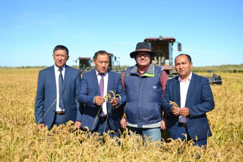 КҮРІШ ОРАҒЫ ҚАРҚЫН АЛУДА