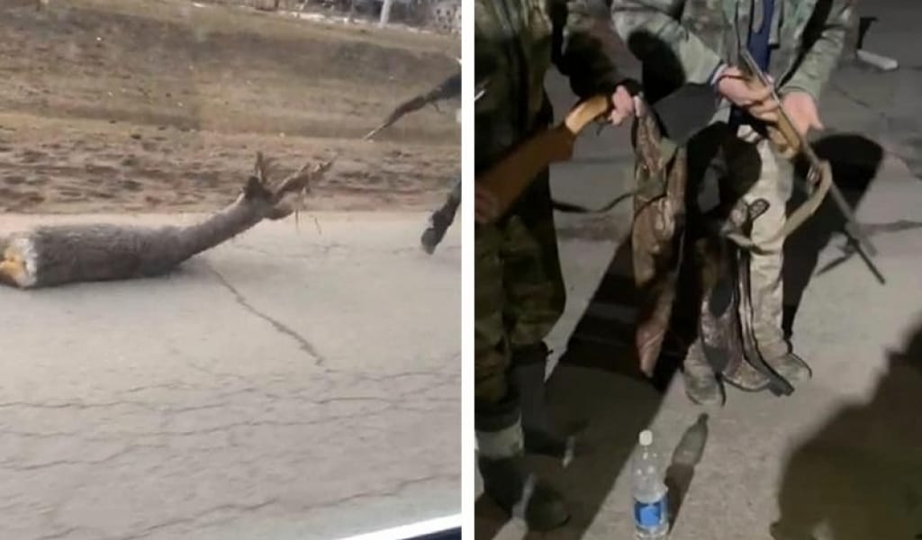 ҚАТІГЕЗ БРАКОНЬЕРЛЕР АТЫП АЛҒАН ЕЛІГІН АТ ҚҰЙРЫҒЫНА БАЙЛАП СҮЙРЕГЕН