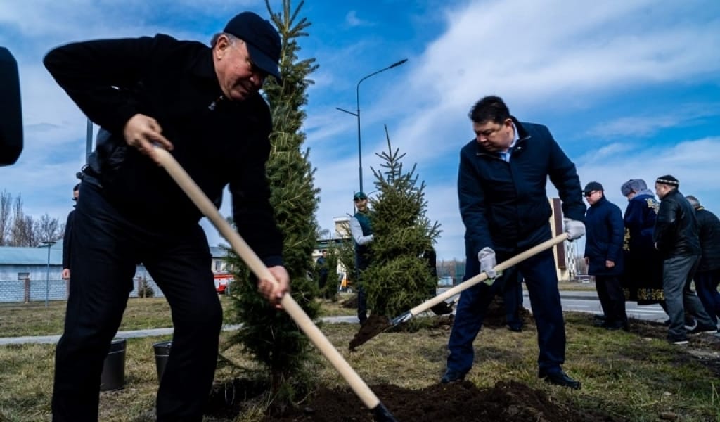ҚАНАТ БОЗЫМБАЕВ СТУДЕНТТЕР ҮЙІНЕ БАРЫП, САЯБАҚҚА АҒАШ ОТЫРҒЫЗДЫ