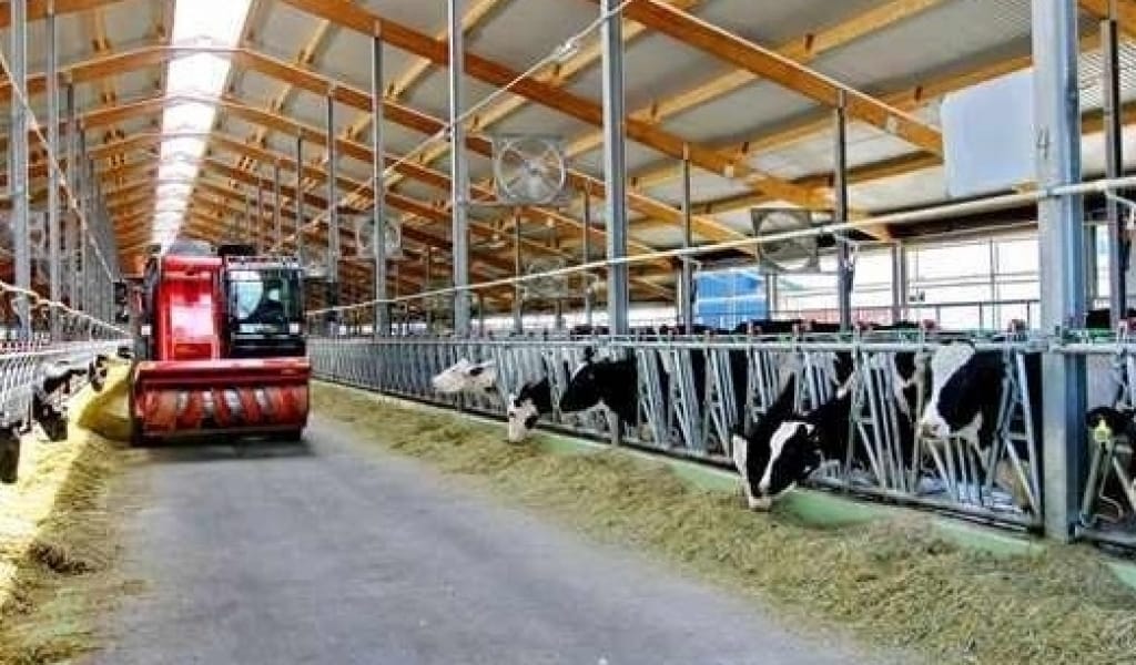 АЛМАТЫ ОБЛЫСЫНДА АГРАРЛЫҚ САЛАНЫ ҚАРЖЫЛАНДЫРУ ДЕҢГЕЙІ ӨТЕ ТӨМЕН