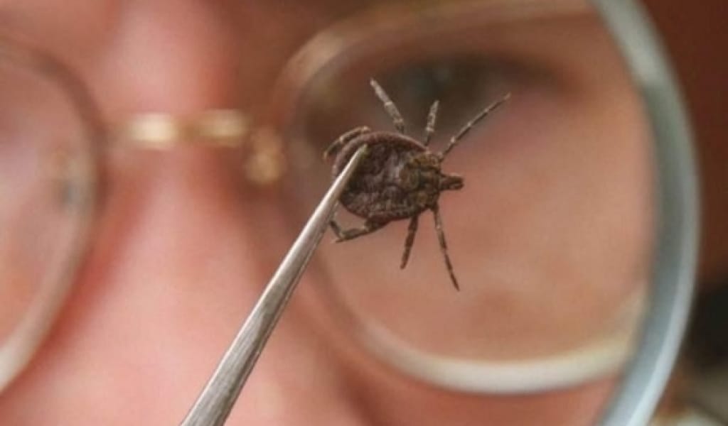 КЕНЕ ШАҒЫП АЛСА, АДАМ ӨЛІП КЕТУІ ДЕ ЫҚТИМАЛ. ДӘРІГЕРЛЕР ЕСКЕРТЕДІ