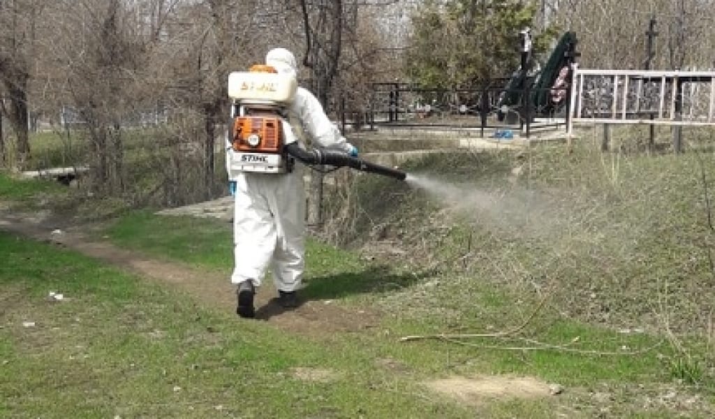 АЛМАТЫ ОБЛЫСЫНДА КЕНЕГЕ ҚАРСЫ ЗАЛАЛСЫЗДАНДЫРУ ЖҰМЫСЫ ЖҮРГІЗІЛДІ