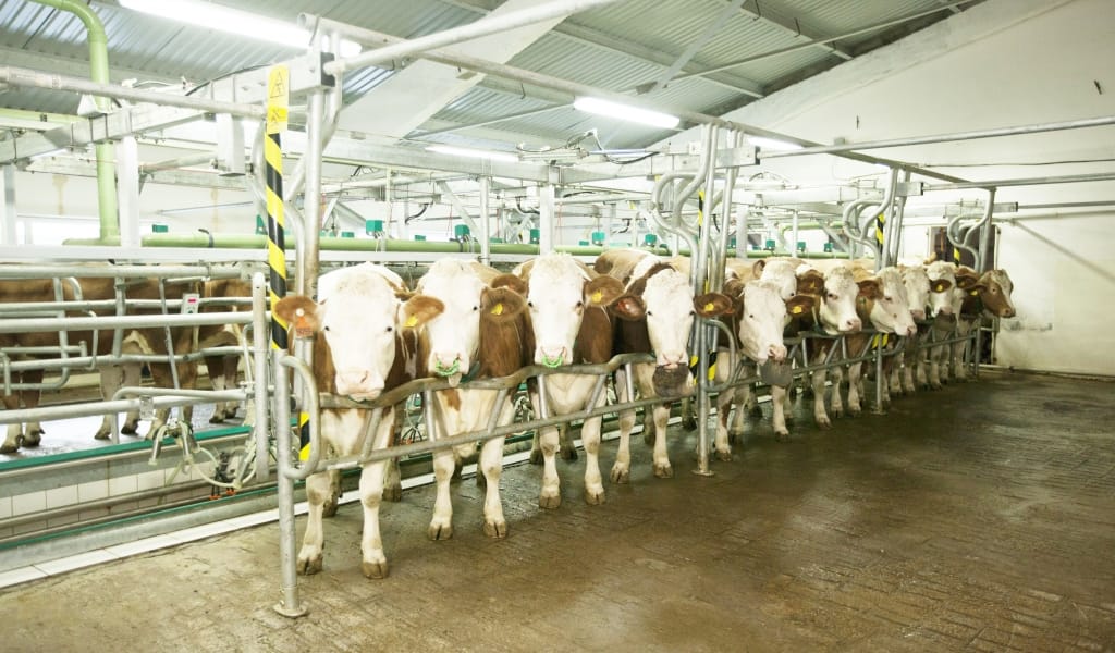 ТАБЫСТЫ АГРОКЕШЕН