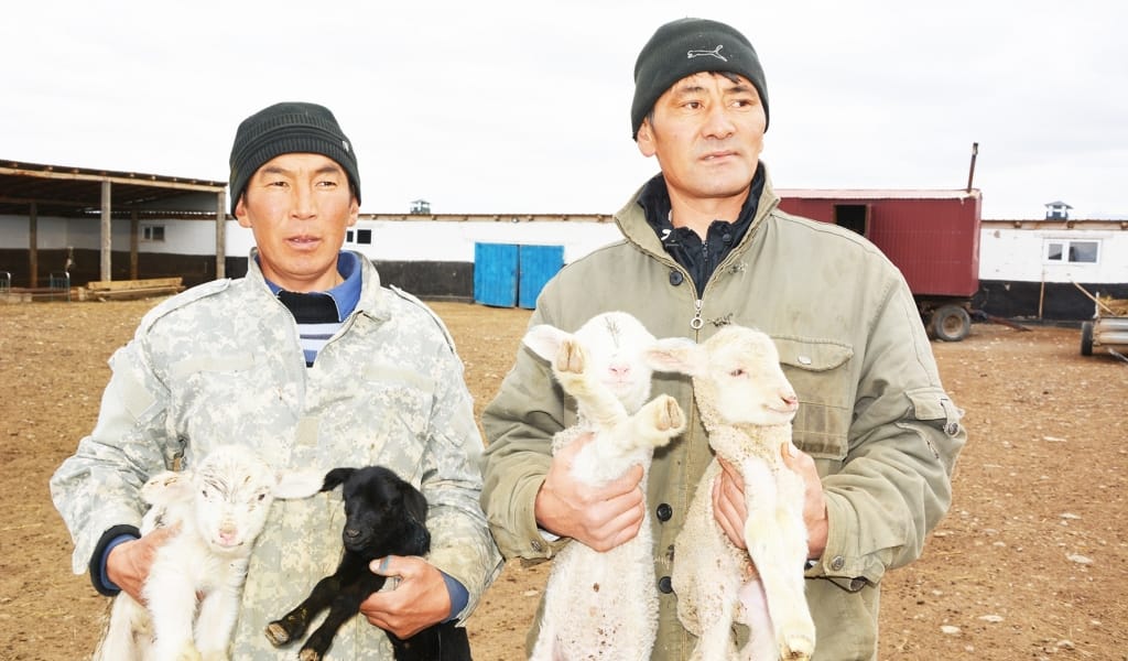 ТӨЛГЕ ТОЛДЫ