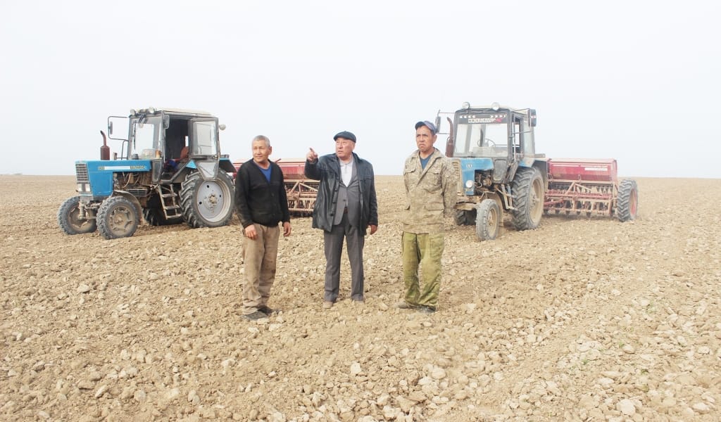 ШАРУАСЫ ДӨҢГЕЛЕНГЕН ШАРУАШЫЛЫҚ