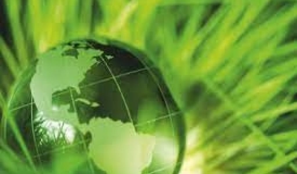 ЭКОЛОГИЯ ТАЛАБЫН БҰЗҒАНДАРДАН 18 МИЛЛИОН ТЕҢГЕ АЙЫППҰЛ ӨНДІРІЛДІ