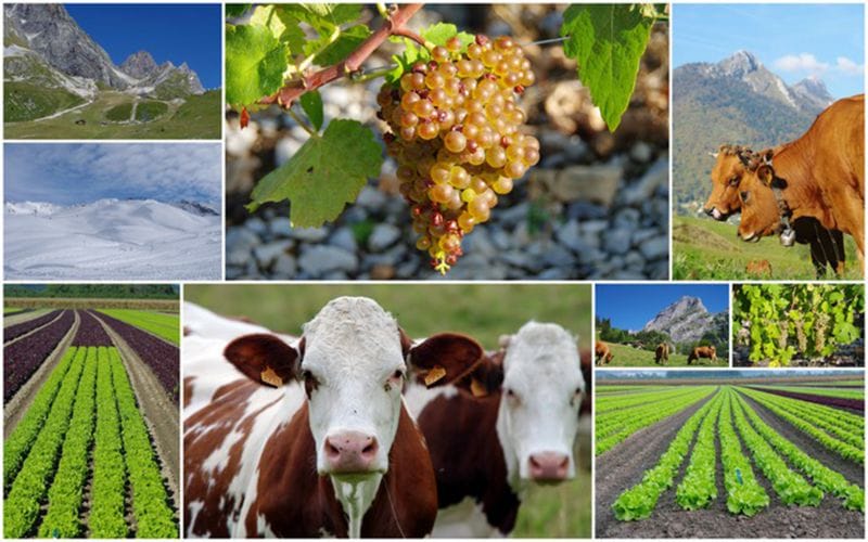 Қаржылай қызмет көрсетеді