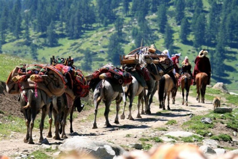 Ата жұрттың түтіні