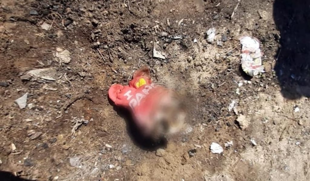 САРҚАНДАҒЫ СӘБИДІ АНАСЫ МЕН НАҒАШЫ АҒАСЫ ҚЫЛҚЫНДЫРЫП ӨЛТІРГЕН