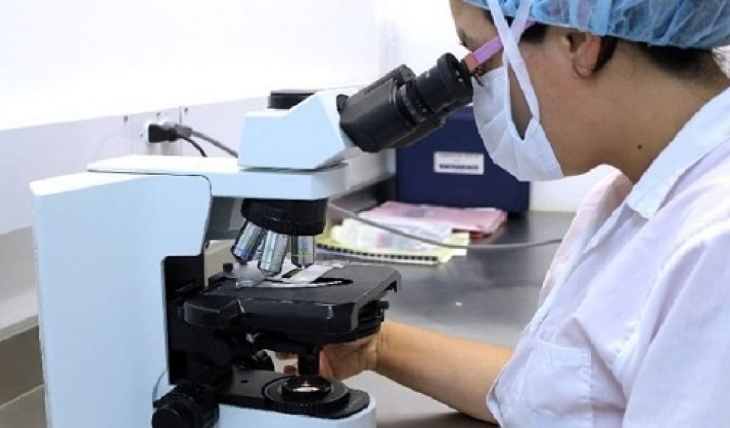 МАЙМЫЛ ШЕШЕГІ ӘЛЕМНІҢ 24 ЕЛІНЕ ТАРАП ҮЛГЕРДІ. ІНДЕТ НЕДЕН ЖҰҒАДЫ?