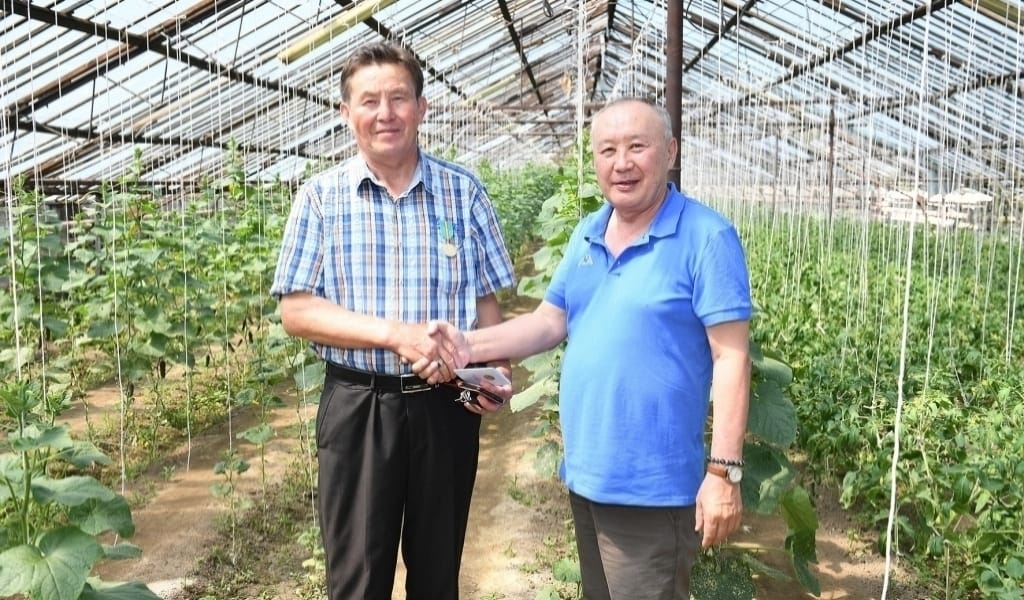 ӘРЕКЕТ БОЛМАЙ, БЕРЕКЕТ ЖОҚ