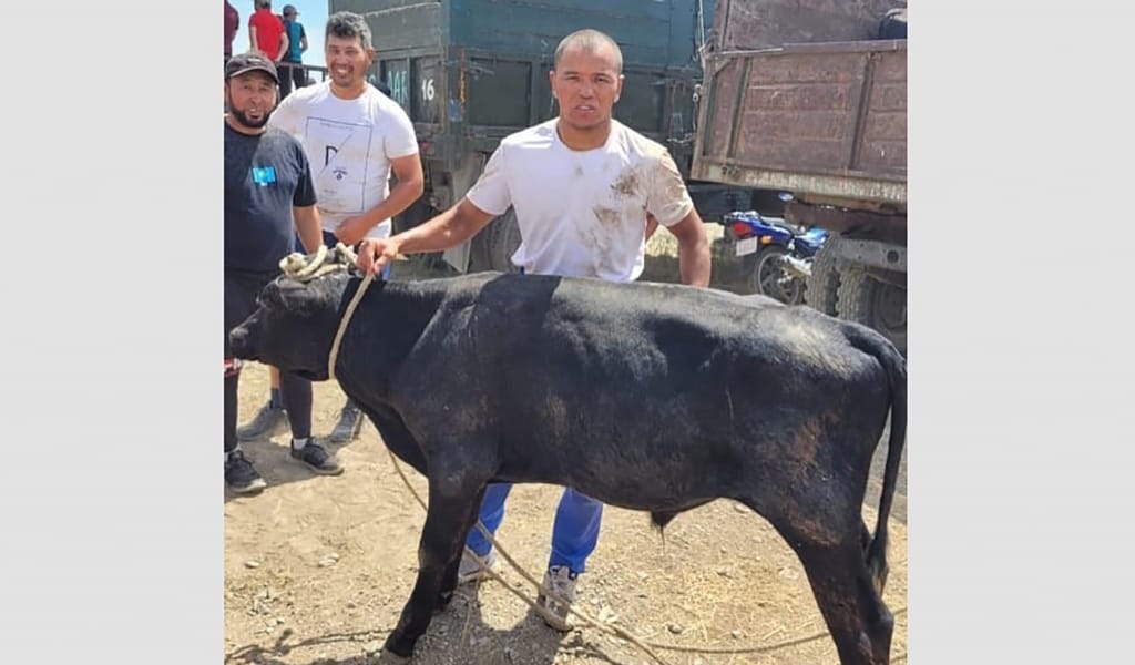 БҰҚА КӨТЕРГЕН БАЛУАН