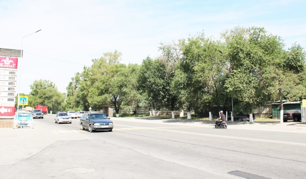 Еңбекшіқазақ ауданында өрімдей қыз автокөліктің астына түсіп көз жұмды