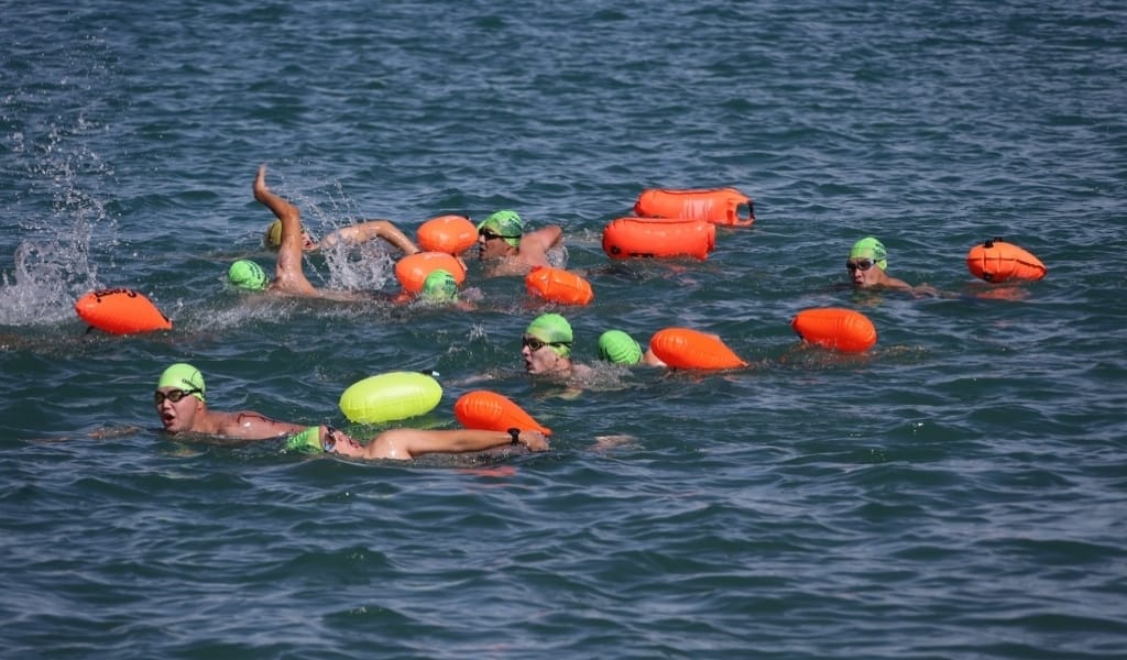 ӘЛЕМДІК ДЕҢГЕЙДЕГІ ЖАРЫС