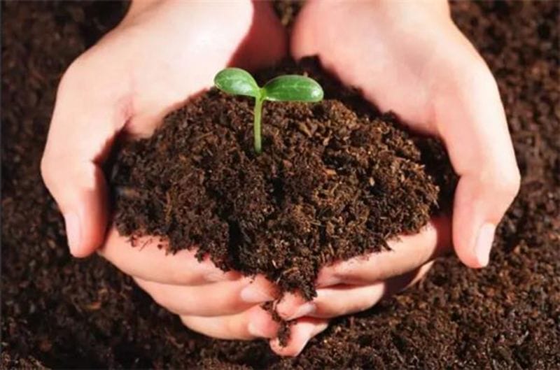 Топырақтың құрамы зерттелуде