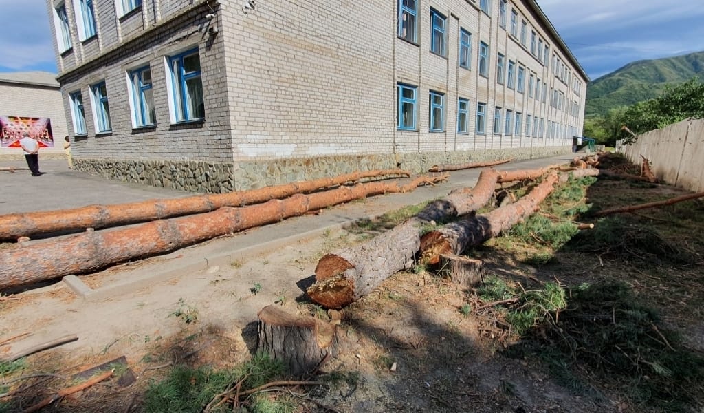 ҚҰЛАҒАН ҚАРАҒАЙ. ТЕКЕЛІ ТҰРҒЫНДАРЫ АҒАШ КЕСКЕНДЕРГЕ ҚАРСЫ ШЫҚТЫ